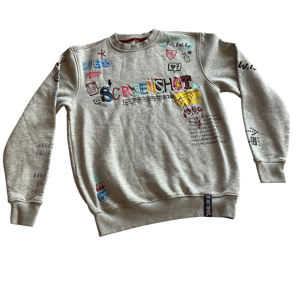 Screenshot Graphic Sweatshirt Light Gray Crew Neck Long‎ Sleeve Casual Womens